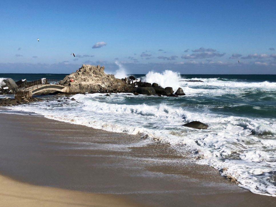 【Gangneung Daytrip, Tour】Filming Site of Goblin, BEST things to do in Gangneung, Gangwon-do.